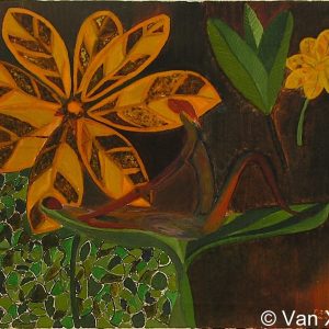 VAN XILEF 20th century reflections