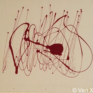 VAN XILEF 20th century reflections