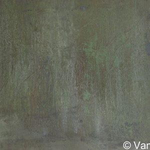 VAN XILEF 20th century reflections