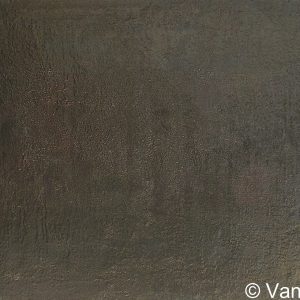 VAN XILEF 20th century reflections