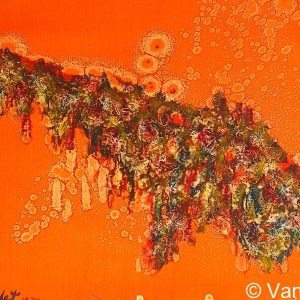 VAN XILEF 20th century reflections