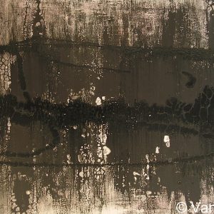 VAN XILEF 20th century reflections