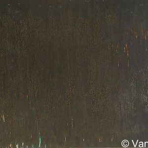 VAN XILEF 20th century reflections