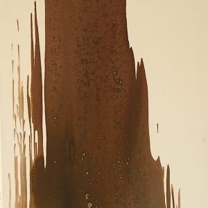 VAN XILEF 20th century reflections