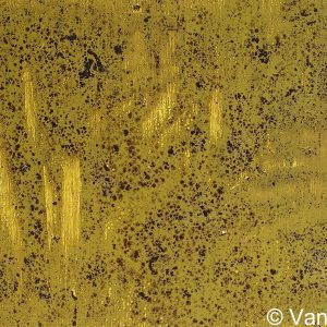 VAN XILEF 20th century reflections