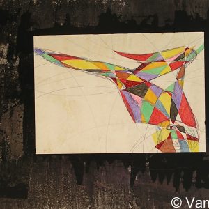 VAN XILEF 20th century reflections