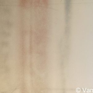 VAN XILEF 20th century reflections