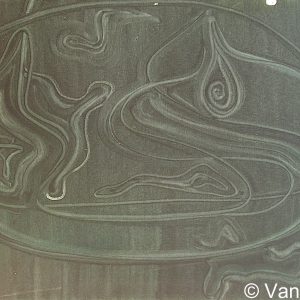 VAN XILEF 20th century reflections