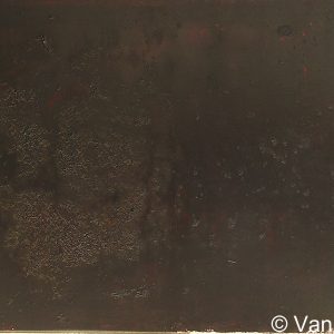 VAN XILEF 20th century reflections