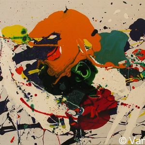 VAN XILEF 20th century reflections