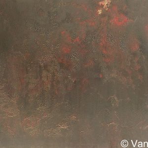 VAN XILEF 20th century reflections