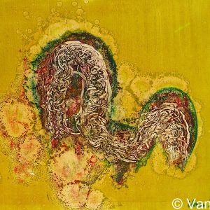 VAN XILEF 20th century reflections