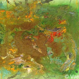 VAN XILEF 20th century reflections