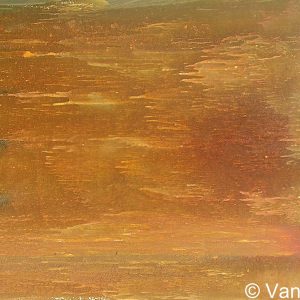 VAN XILEF 20th century reflections