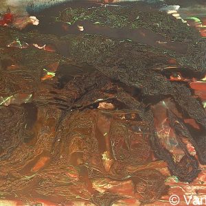 VAN XILEF 20th century reflections