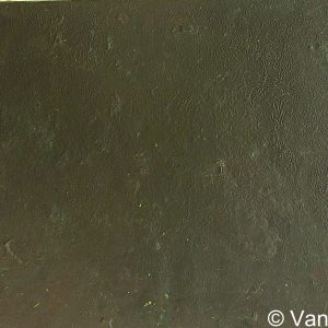 VAN XILEF 20th century reflections