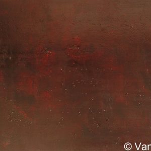 VAN XILEF 20th century reflections