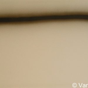 VAN XILEF 20th century reflections