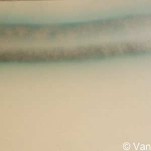 VAN XILEF 20th century reflections