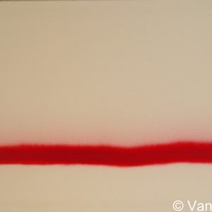 VAN XILEF 20th century reflections