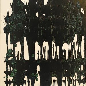 VAN XILEF 20th century reflections