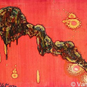 VAN XILEF 20th century reflections