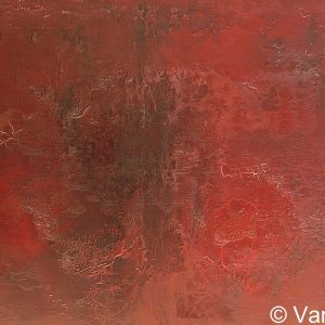 VAN XILEF 20th century reflections