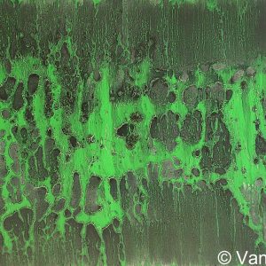 VAN XILEF 20th century reflections