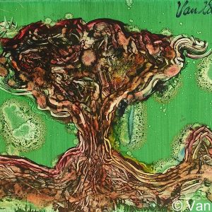 VAN XILEF 20th century reflections