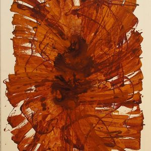 VAN XILEF 20th century reflections