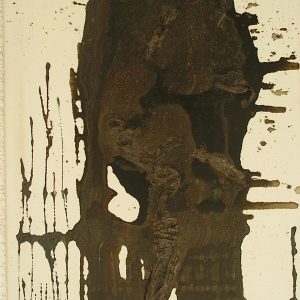 VAN XILEF 20th century reflections