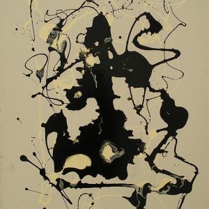 VAN XILEF 20th century reflections