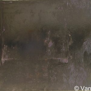 VAN XILEF 20th century reflections