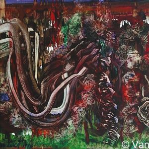 VAN XILEF 20th century reflections