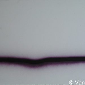 VAN XILEF 20th century reflections