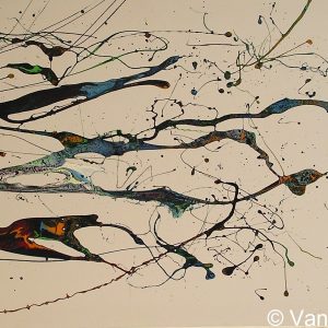 VAN XILEF 20th century reflections