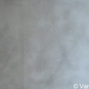 VAN XILEF 20th century reflections