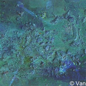 VAN XILEF 20th century reflections