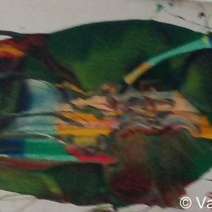 VAN XILEF 20th century reflections