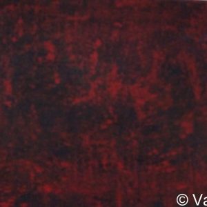 VAN XILEF 20th century reflections