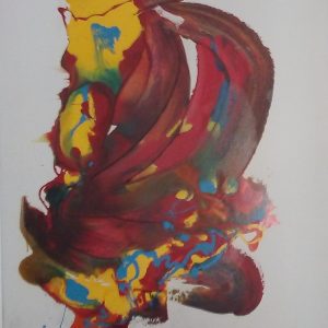 VAN XILEF 20th century reflections